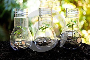 Money saving economy environment.Â  Plants growing in money coins in glass jar for investment planning travel and retirement.